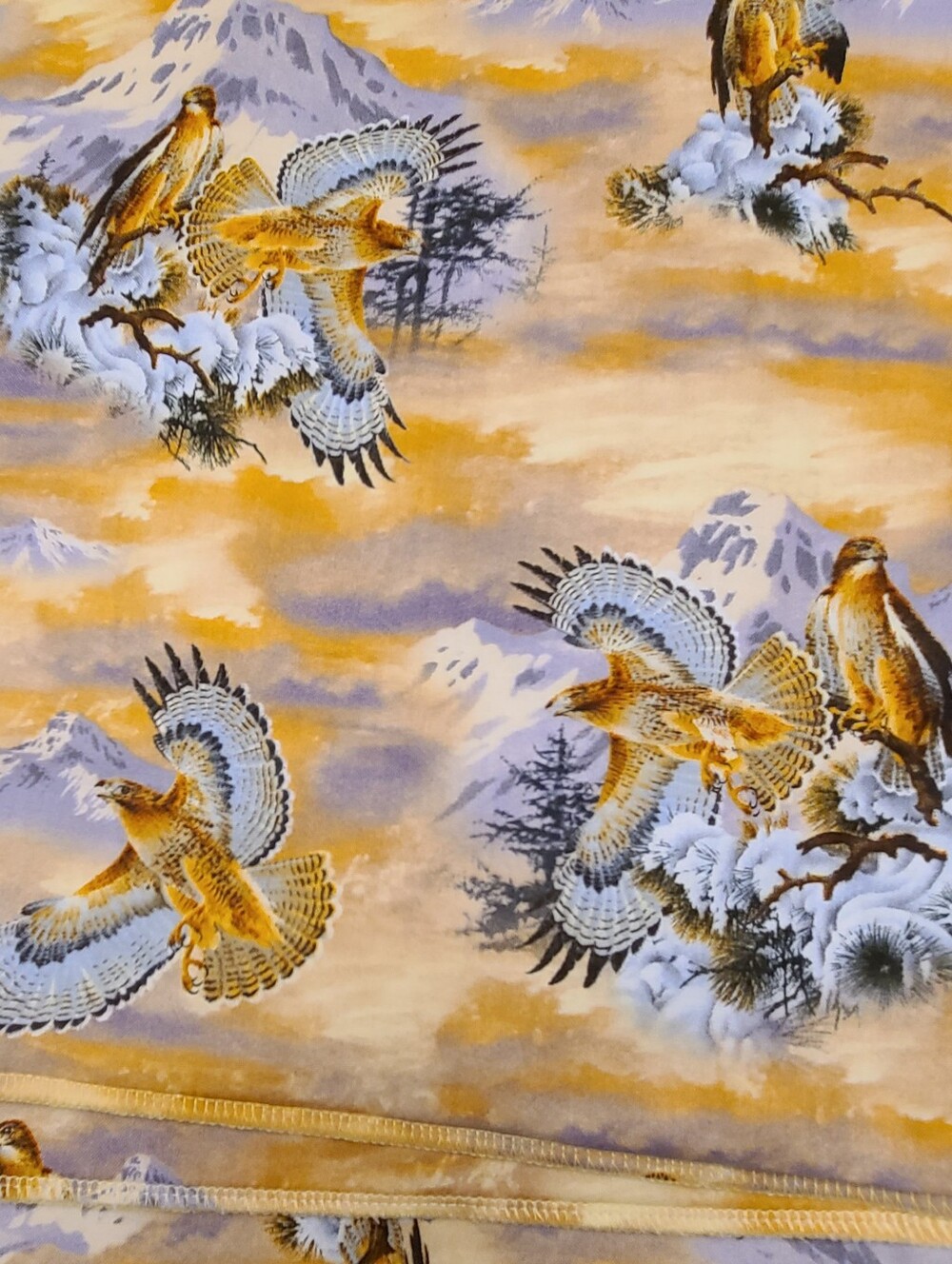 5pc Wildlife Red Hawk Mountain Fabric Placemat Set Cabin Kitchen Table Linens